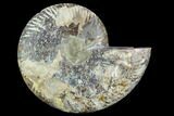 Cut Ammonite Fossil (Half) - Agatized #125563-1